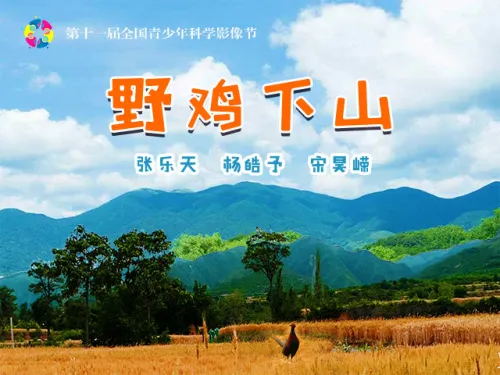 科学探究：《关中平原山鸡大量出现之谜》