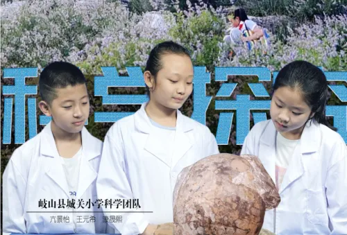 科学探究：《我发现的是恐龙化石吗？》
